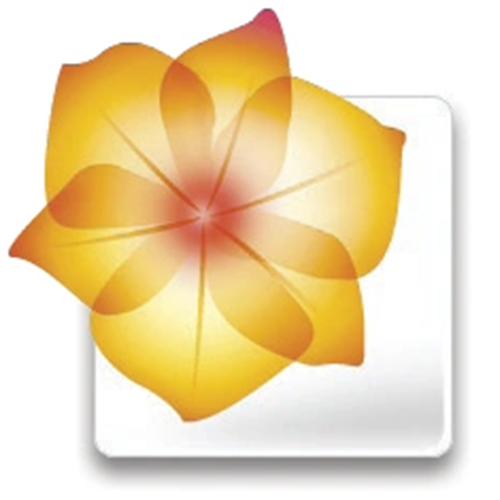Adobe Illustrator splash screens and logo icons