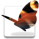 InDesign version CS icon logo