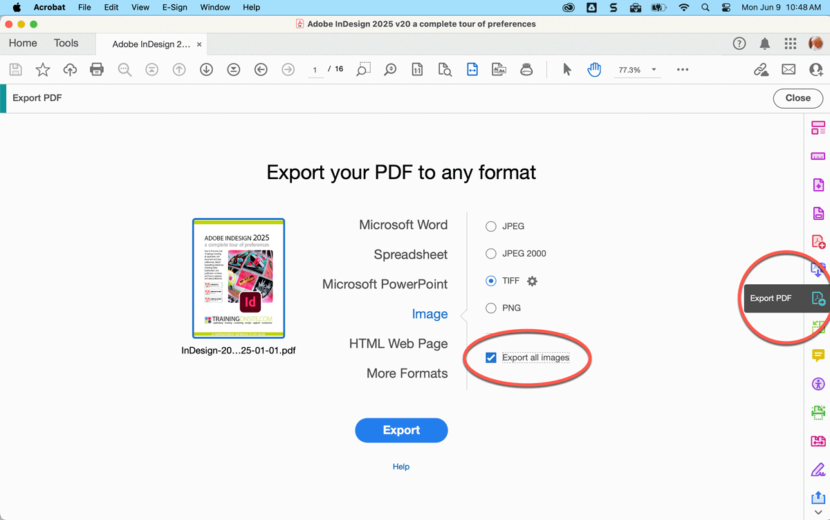 Adobe Acrobat Pro Export PDF dialog box