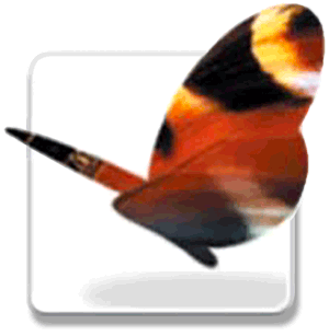 InDesign CS logo